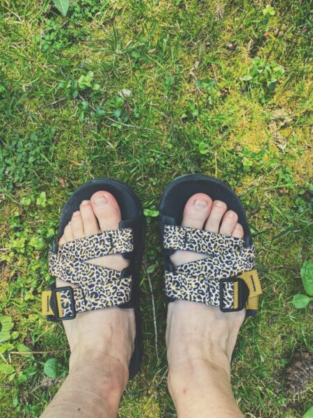 leopard print sandals in grass