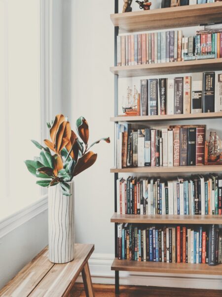 Bookcase by window with plant