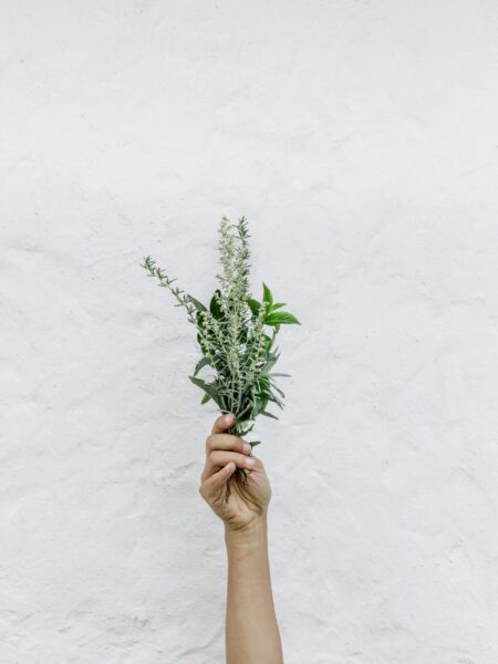 Hand holding herbs and flowers